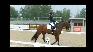 Thia Elise Nielsen og Ophelia van het Rozenhof FEI Lagprogram for Junior  66937  og 2 plass [upl. by Airam129]