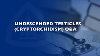 Undescended Testicles Cryptorchidism QampA with Dr MingHsien Wang [upl. by Gehlbach410]