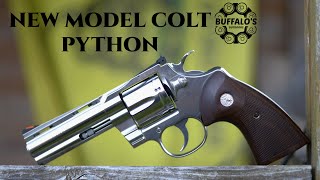 Colt Python 4quot Blue CloseUp [upl. by Notnyw174]