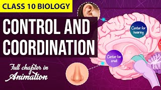 Control and Coordination Class 10 Full Chapter Animation  Class 10 Science NCERT Chapter 7  CBSE [upl. by Pryor62]