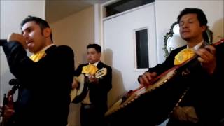 🎉Serenata de cumpleaños con mariachis de Bogotá  Las Mañanitas [upl. by Amble537]