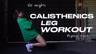 CALISTHENICS LEG WORKOUT  NO WEIGHTS beginner friendly [upl. by Natanhoj]