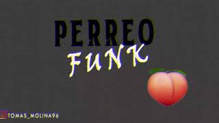 PERREO FUNK  MIX BOLICHERO N° 20  TERRIX DJ [upl. by Sams975]