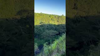 Wailua falls Kauai [upl. by Mecke834]