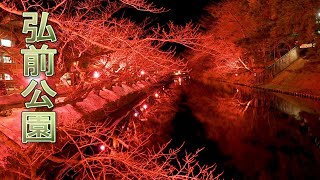 Aomori【SNOW】Hirosaki Castle Hirosaki Park in winter 2020 雪不足 4K [upl. by Nixon]