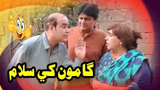 Gamoo Khe Salam  Zakir Shaikh  Gamoo  Sohrab Soomro  fazelat Begum  New Funny Clip [upl. by Weatherley]