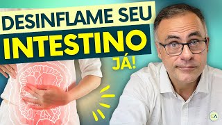 Como DESINFLAMAR seu INTESTINO em Poucos Meses [upl. by Allistir919]