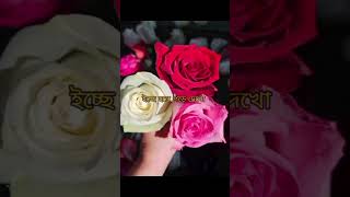 Bengoli love shayari। ভালোবাসা। ছন্দ।sms trendingshorts shorts youtubeshorts rimadey1309 [upl. by Nitsugua]