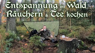 Entspannung im Wald mit RÄUCHERN von Harz amp Tee kochen über dem Trangia Spirituskocher [upl. by Nyvar]