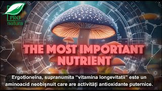 Ergotioneina – Cel mai important nutrient de care nu ai auzit [upl. by Ytoc943]