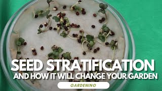 Seed Stratification And How It Will Change Your Garden [upl. by Ahrens]