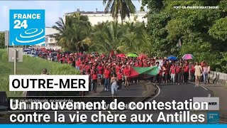 Un mouvement de contestation contre la vie chère aux Antilles • FRANCE 24 [upl. by Yunick]