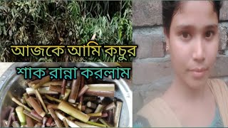 আজ কে আমি কচুর শাক রান্না করলাম  mukta blog bangali blog [upl. by Petuu991]