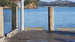 paihia Adventure bay of islands [upl. by Nibur]