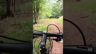 Descente en VTT près de la roche dOrmont dans les Vosges 9 [upl. by Amlus]