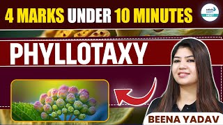 What is Phyllotaxy Quick amp Simple Explanation  NEET 2025  Class 11 Botany  infinitylearnNEET [upl. by Venita]