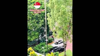 Foodpanda rider vs condo security guard fighting at Bukit Timah condo in Singapore [upl. by Egidius]