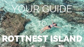 ROTTNEST ISLAND  How to Make the Most of your Day Trip from Perth [upl. by Zetnwahs]