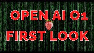 Open AI o1 🍓 Smartest AI Ever First Look 🔥🔥 [upl. by Ailla468]