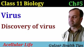 Acellular life class 11 Biology  virus  Discovery of virus [upl. by Ahsiym]