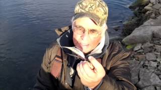 Massena NY Fishing Series 5  St Lawrence Shore Fishing [upl. by Karon]