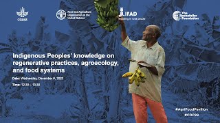 Indigenous Peoples’ knowledge on regenerative practices agroecology and food systems [upl. by Ursel]