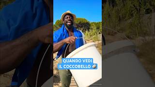 QUANDO VEDI IL COCCOBELLO 😂🥥 iPantellas [upl. by Idorb]