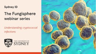 The Fungisphere  Understanding cryptococcal infections [upl. by Negeam62]