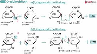 Glykosidische Bindungen [upl. by Alket450]