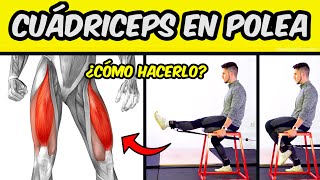 Cómo hacer EXTENSIONES DE CUÁDRICEPS en Polea ✅ Todo lo que NECESITAS SABER [upl. by Yarezed]