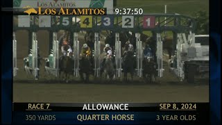 Los Alamitos Replays  Sunday September 08 2024  Race 7 [upl. by Boccaj124]