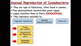 Plant Reproduction  Reproduction of Prokaryotes [upl. by Diane-Marie]