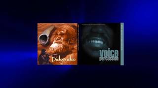 Didgeridoo Meets Voice Percussion [upl. by Fidelio]