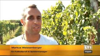 Weinlese Friends of Wagram [upl. by Stefano]