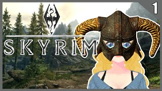 The Elder Scrolls V Skyrim Collecting EVERY Book Necromancer build playthrough  Part 1 [upl. by Nottirb]