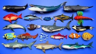 21 Sea Animals Megalodon Orca Great White Shark Blue Whale Anglerfish Dolphin Etc MN026 [upl. by Atnuahs228]