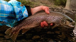 W4F  Fly Fishing quotEarly Fall on the Beaverkill Riverquot [upl. by Sclar]