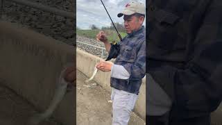 Kayak Fishing Walnut Creek at Joe Pool Lake [upl. by Sairtemed]