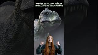 🦖✨ ¡Descubre los 10 FÓSILES MÁS INCREÍBLES de DINOSAURIOS 🌍🦕 ¡Hallazgos increíbles 🔍💥 [upl. by Cole295]