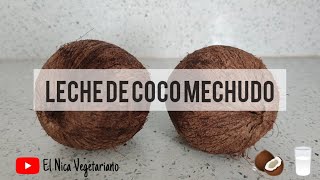 MUDA de COCO em 14 DIAS GERMINAR COCO seco de SUPERMERCADO Não compre faça sua muda [upl. by Neroc]