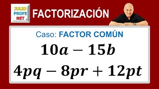 Caso 1 de factorización factor común [upl. by Assilim]