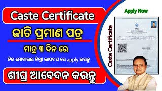 How to apply caste certificate in odisha  scheduled caste certificate online apply 2024 Odia [upl. by Lanette]