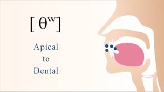 θʷ  unvoiced labialized apical dental non sibilant fricative [upl. by Consuelo]