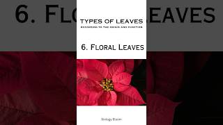 Foliage leaves Cotyledonary leaf Scale Bract Bracteole Floral leaf  Types of Leaves [upl. by Nalor173]