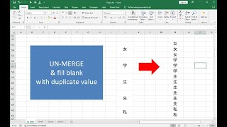 Excel unmerge and auto copy cell value [upl. by Kecaj]