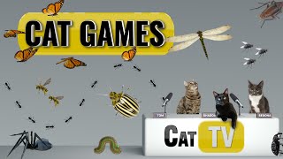 CAT Games  Ultimate Cat TV Bugs and Butterflies Compilation Vol 3 🪲 🐞🦋🦗🐜  Videos For Cats to Watch [upl. by Sheley404]