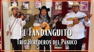 Trío Herederos del Pánuco  El Fandanguito [upl. by Eeladnerb73]