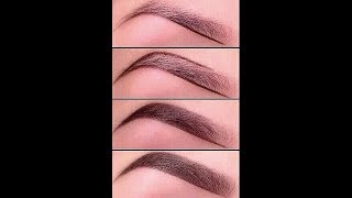 ❅ Les secrets des sourcils parfaits  NovaDickson [upl. by Cinamod]