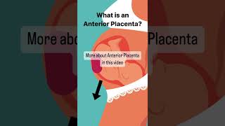 What is Anterior Placenta pregnant [upl. by Moishe]