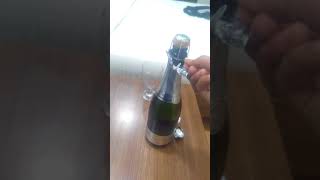 Sula Vineyards Sparkling Wine [upl. by Arukas]